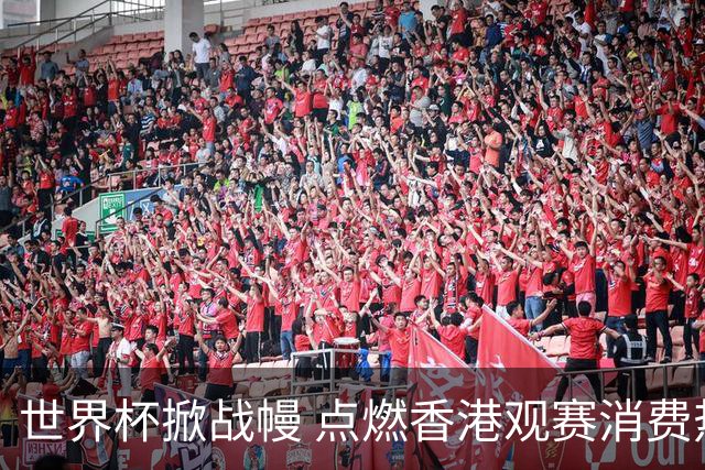 世界杯掀战幔 点燃香港观赛消费热潮
