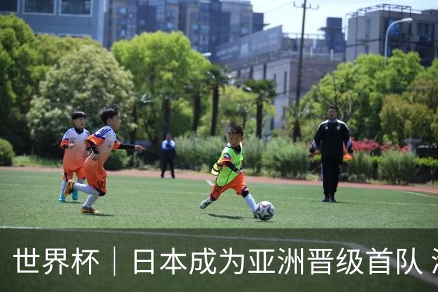 世界杯｜日本成为亚洲晋级首队 淘汰赛将战巴西