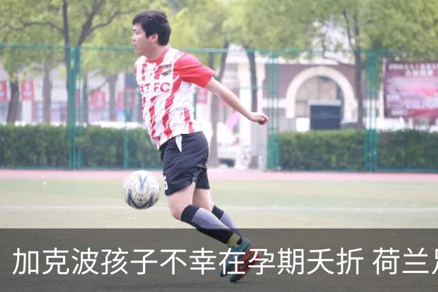 加克波孩子不幸在孕期夭折 荷兰足协：球员愿留队征战